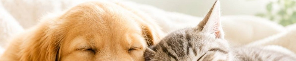 愛犬・愛猫とともに、やさしい毎日を
